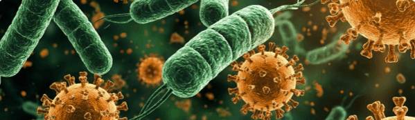 Технологично оборудване и аналитичен обхват