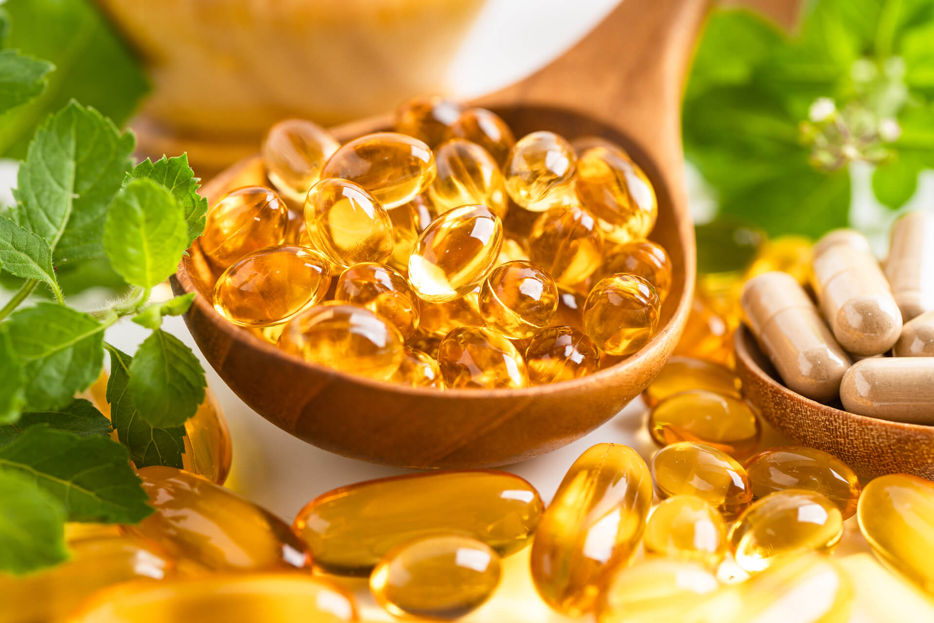 Сърдечно-съдова система